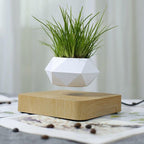 Floating Air Bonsai Pot