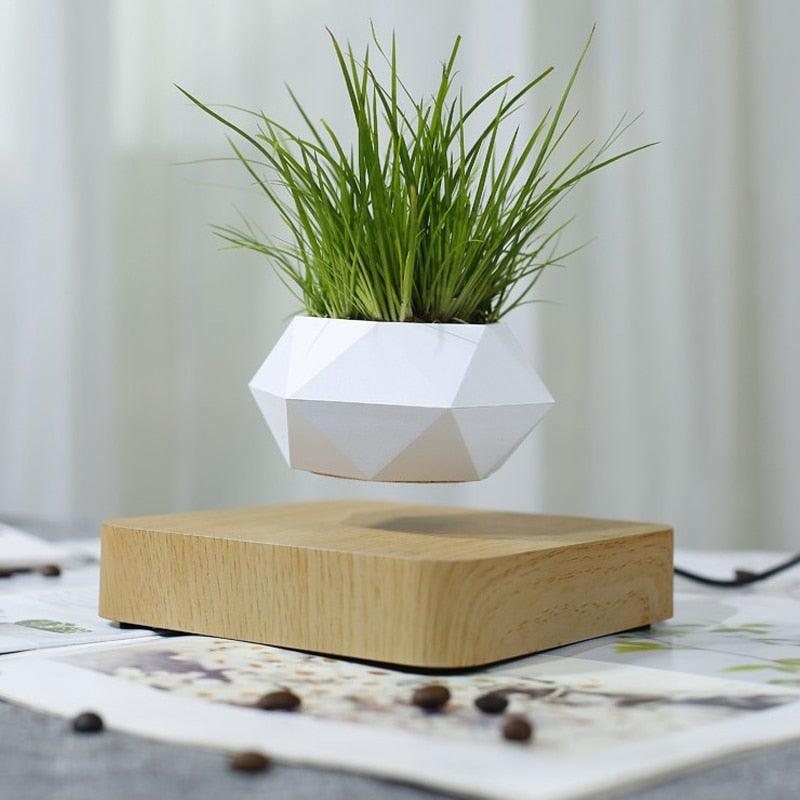 Floating Air Bonsai Pot