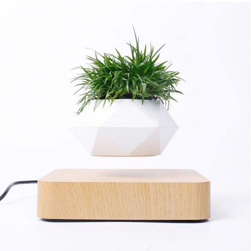 Floating Air Bonsai Pot