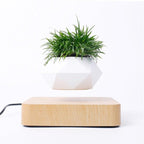 Floating Air Bonsai Pot