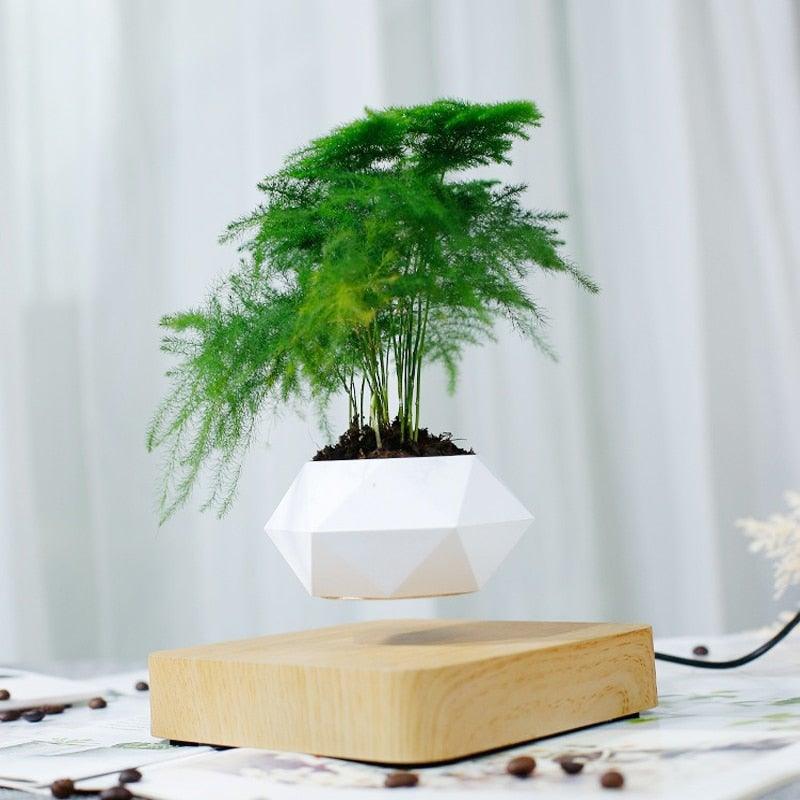 Floating Air Bonsai Pot