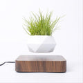 Floating Air Bonsai Pot