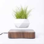 Floating Air Bonsai Pot