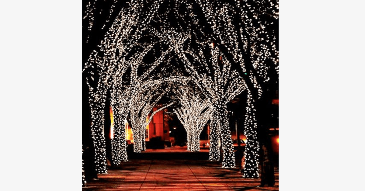 LED Fairy Lights – Decorate with stylish lights!