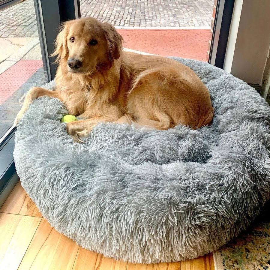 Orthopedic Plush Donut Dog Bed