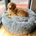 Orthopedic Plush Donut Dog Bed