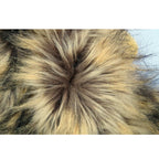 Lion manes for your cat - LionPaws