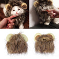 Lion manes for your cat - LionPaws