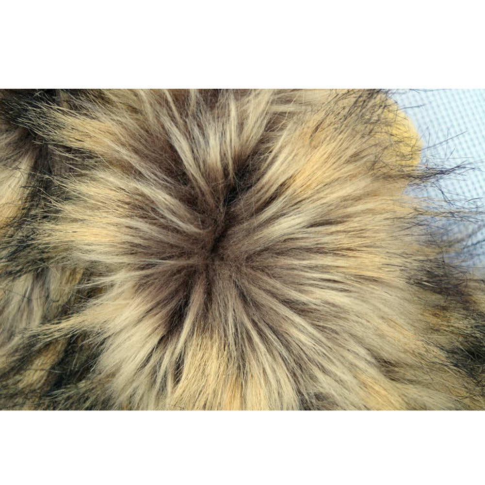 LionPaws Lion Mane for Your Cat