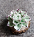Lotus Flower Incense Holder | Stylish design