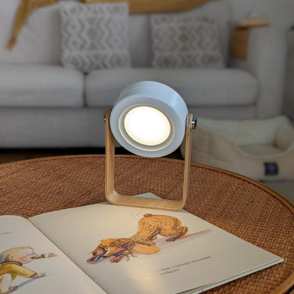 Modern multifunctional lamp