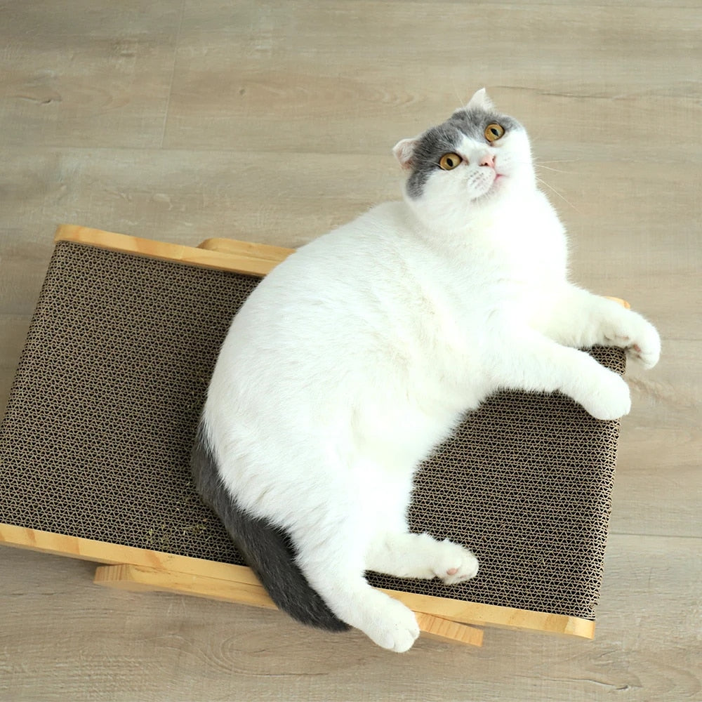 Luna Cat Scratch Bed