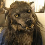 Realistic Werewolf Mask for Halloween and Cosplay, Silicone Design