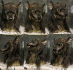 Realistic Werewolf Mask for Halloween and Cosplay, Silicone Design
