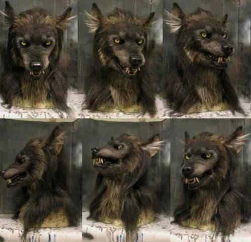Realistic Werewolf Mask for Halloween and Cosplay, Silicone Design