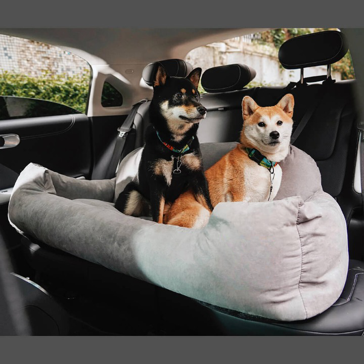 Luxe Travel Bed for Dogs - PawsRest