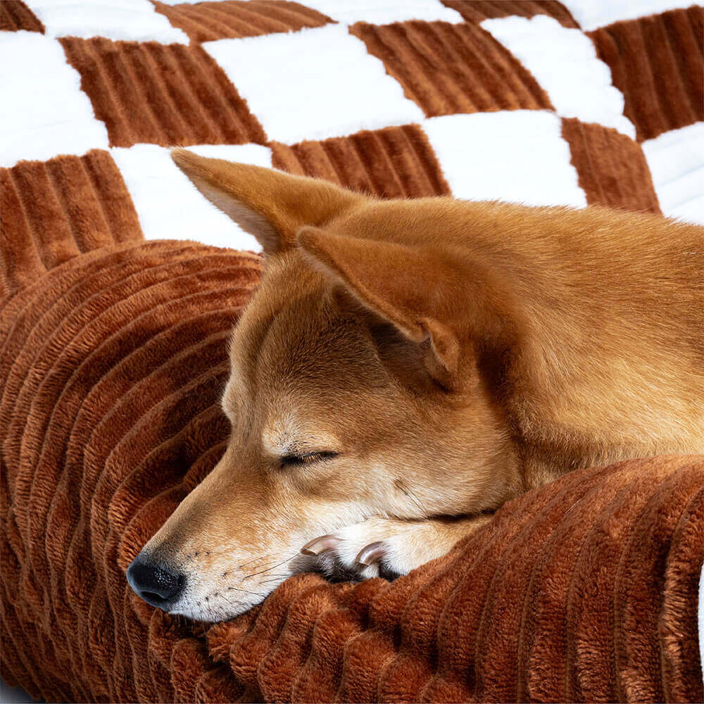 Luxurious Dog Bed Sofa - King's Chillout Sofa
