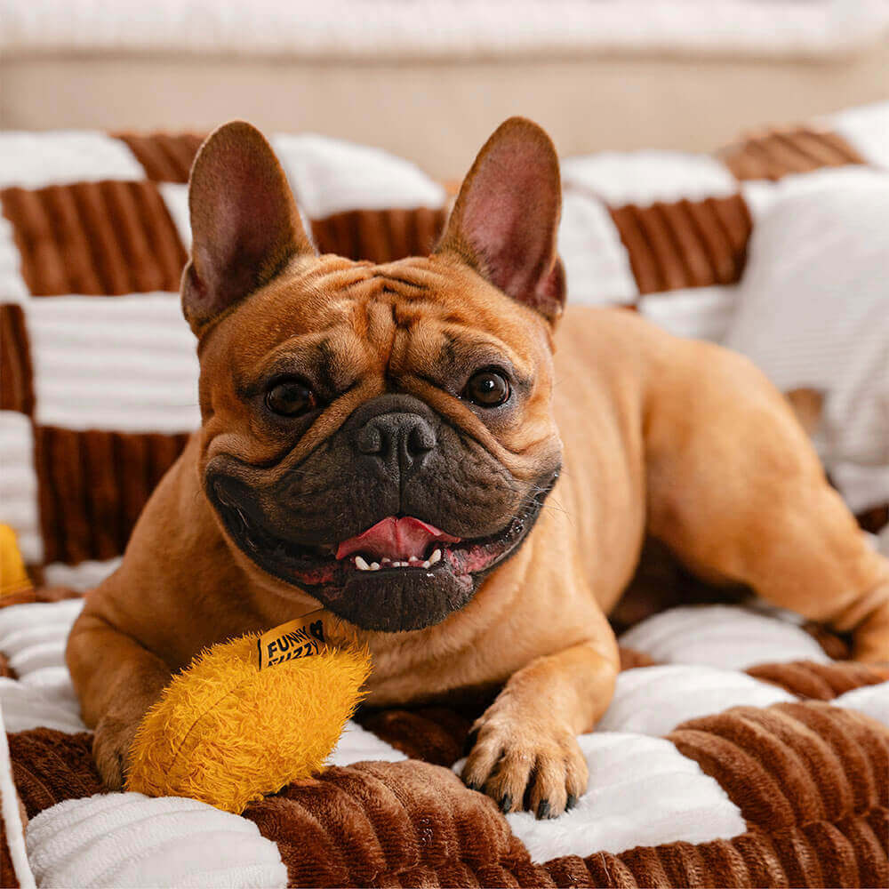 Luxurious Dog Bed Sofa - King's Chillout Sofa