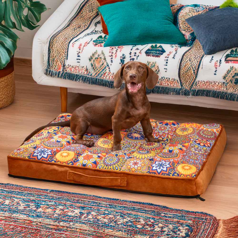Luxurious Moroccan Style Dog Bed - Casablanca Dream