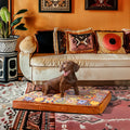 Luxurious Moroccan Style Dog Bed - Casablanca Dream