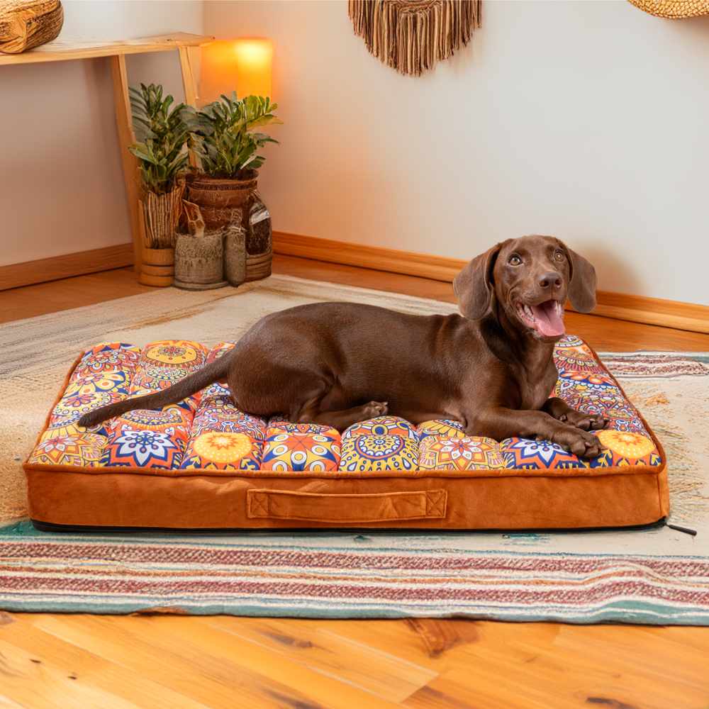 Luxurious Moroccan Style Dog Bed - Casablanca Dream