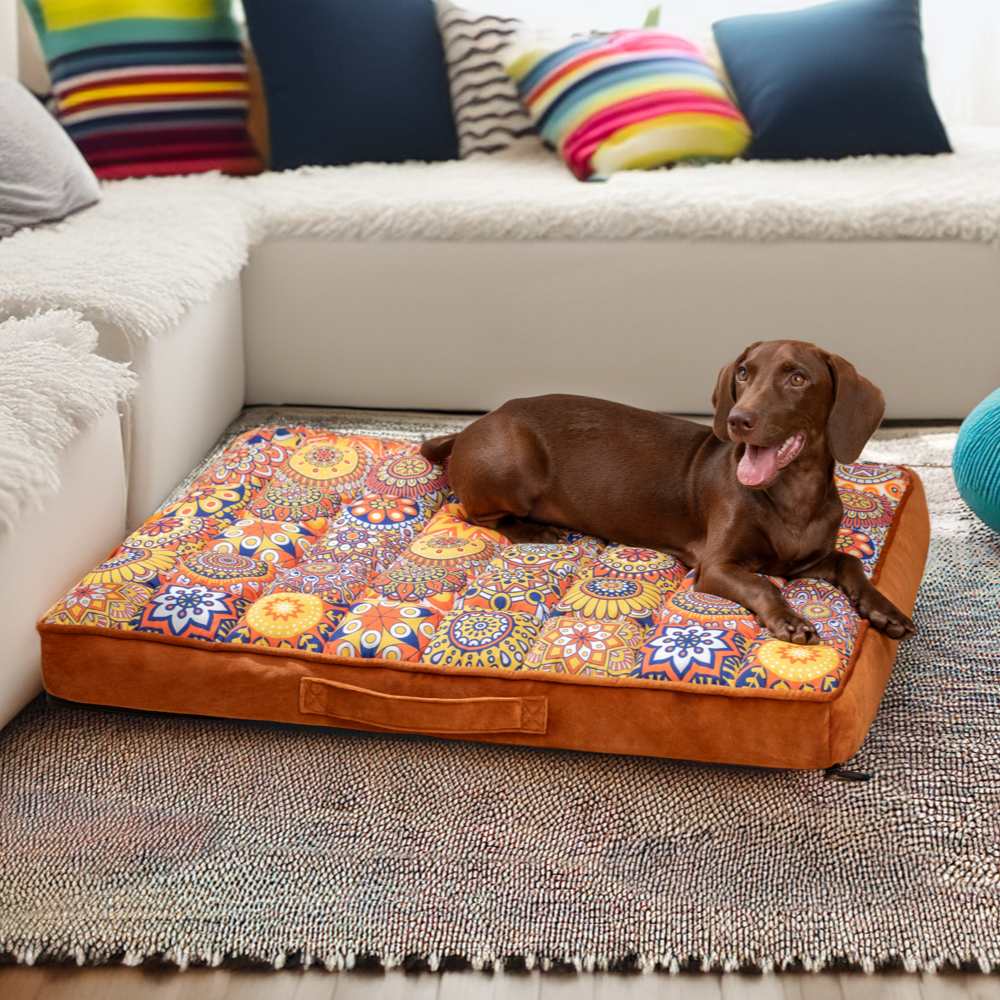 Luxurious Moroccan Style Dog Bed - Casablanca Dream