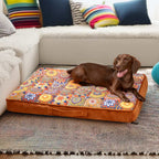 Luxurious Moroccan Style Dog Bed - Casablanca Dream