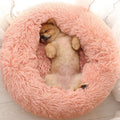 Luxury Soft Plush Dog Bed - FluffyNest