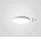 Ceiling Light ChromaCraft