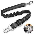 Elastic dog safety belt