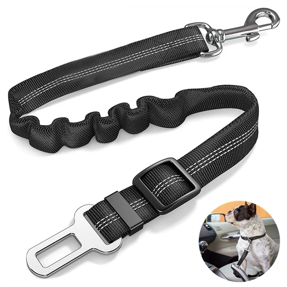 Elastic dog safety belt