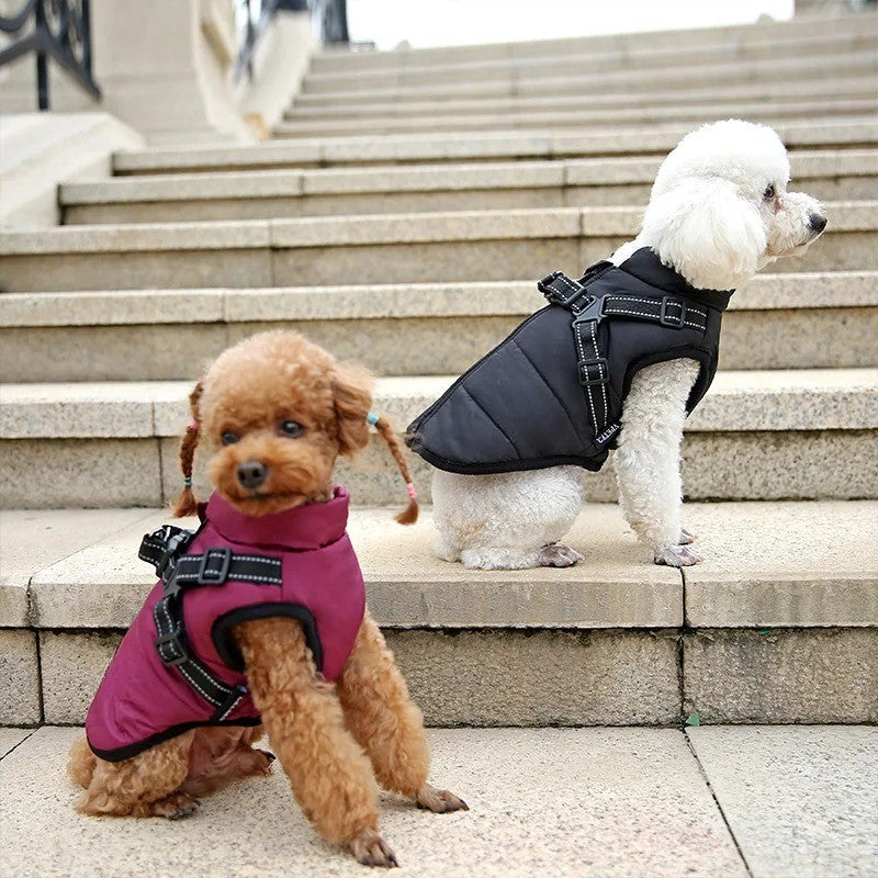 All-Weather Insulated Dog Jacket with Built-in Harness