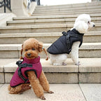 All-Weather Insulated Dog Jacket with Built-in Harness