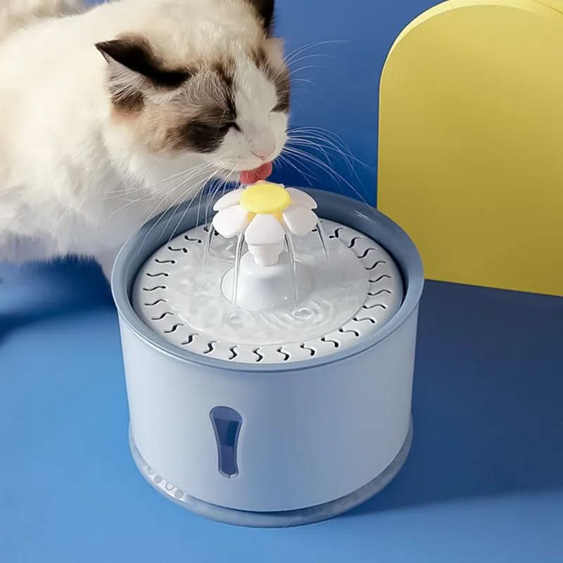 Automatic Drinking Fountain with Filtration System for Pets