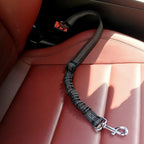 Elastic dog safety belt