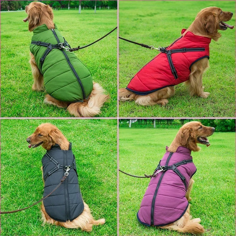 All-Weather Insulated Dog Jacket with Built-in Harness