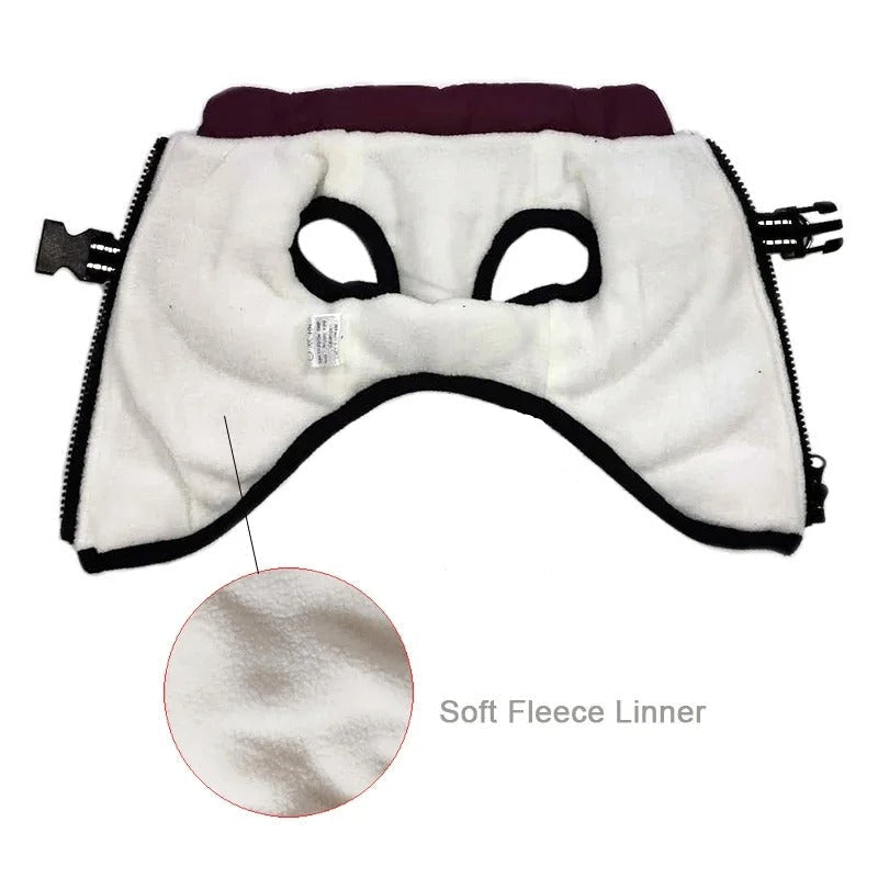 All-Weather Insulated Dog Jacket with Built-in Harness
