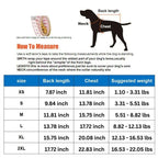Adorable Bear-Themed Full Body Dog Raincoat with Reflective Safety Features