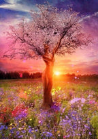 Magical Daybreak - Van-Go Paint-By-Number Kit