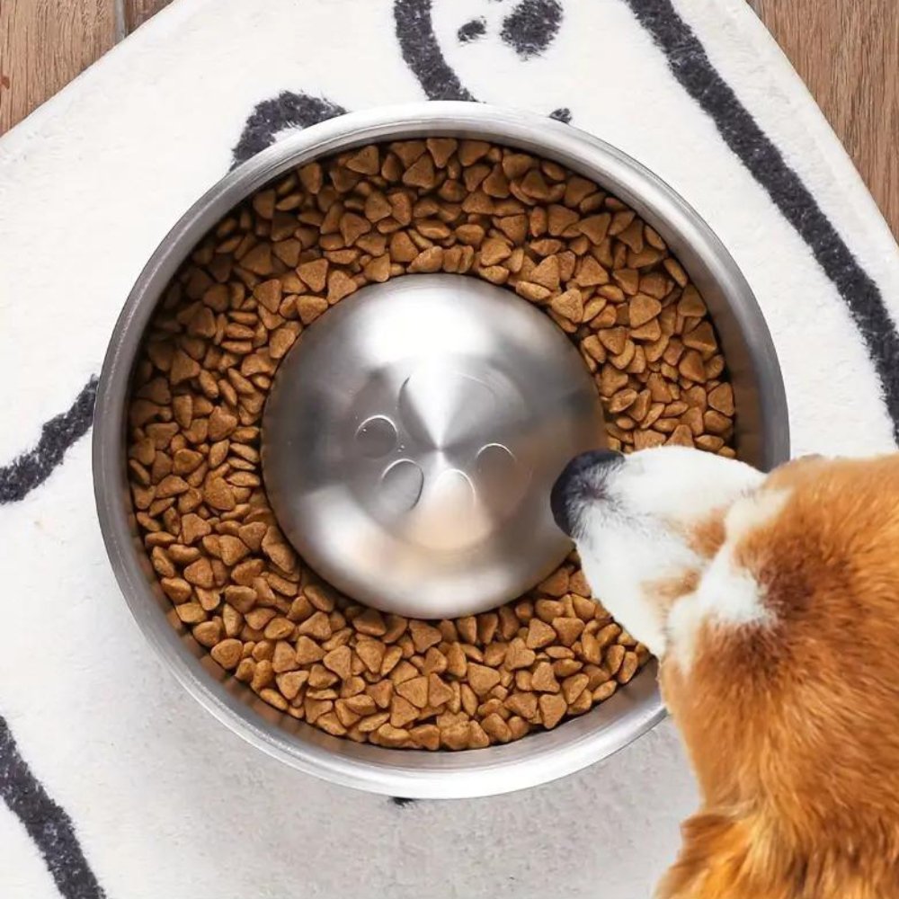 MealPace - Dog Feeding Bowl Slow
