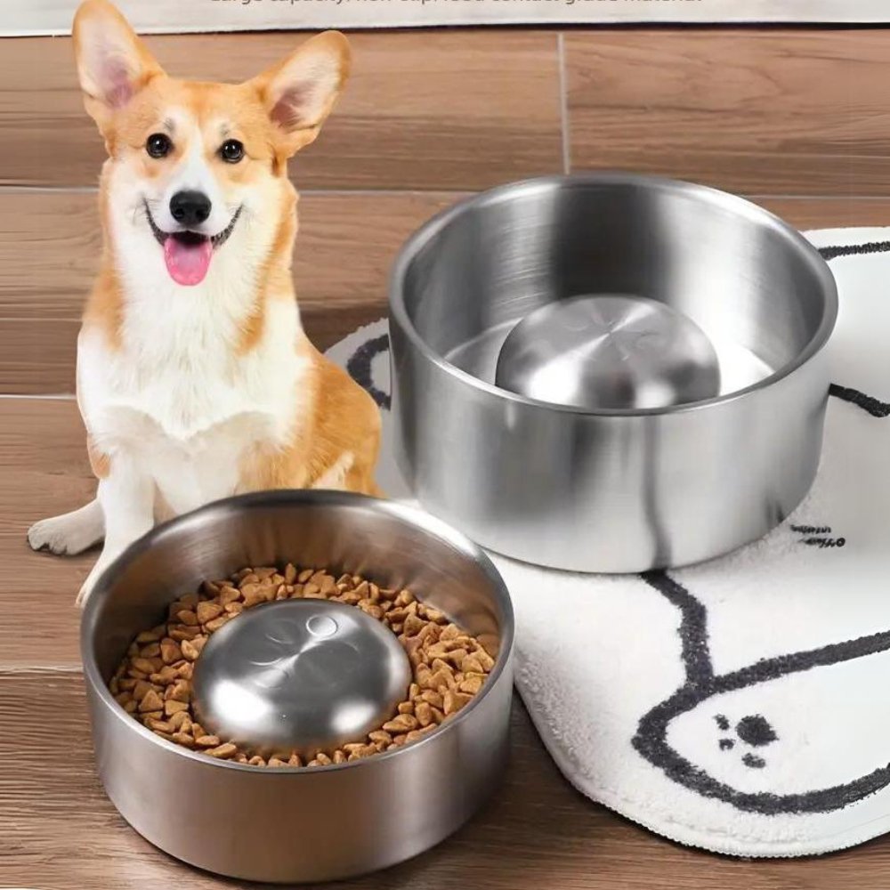 MealPace - Dog Feeding Bowl Slow