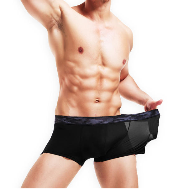 Men's Ice Silk Underwear