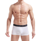 Men's Ice Silk Underwear