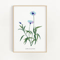 Floral Collection - Blue Flower
