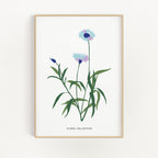 Floral Collection - Blue Flower