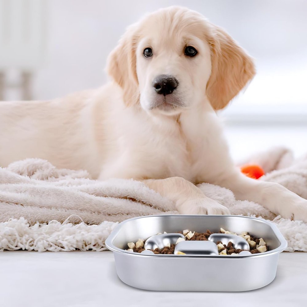 MightyBite - Dog Feeding Bowl Slow
