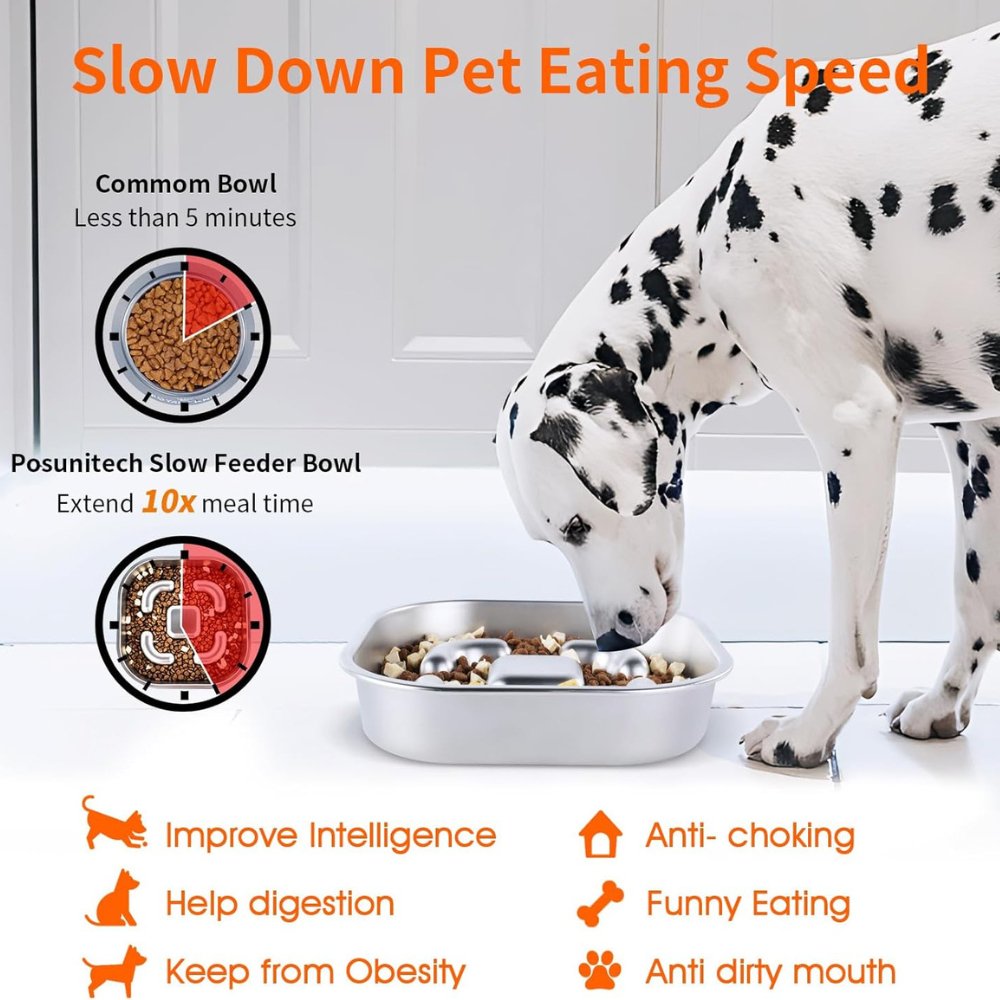 MightyBite - Dog Feeding Bowl Slow