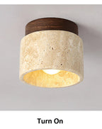 Ceiling Light Marble Wood Modern Minimalist Lamp