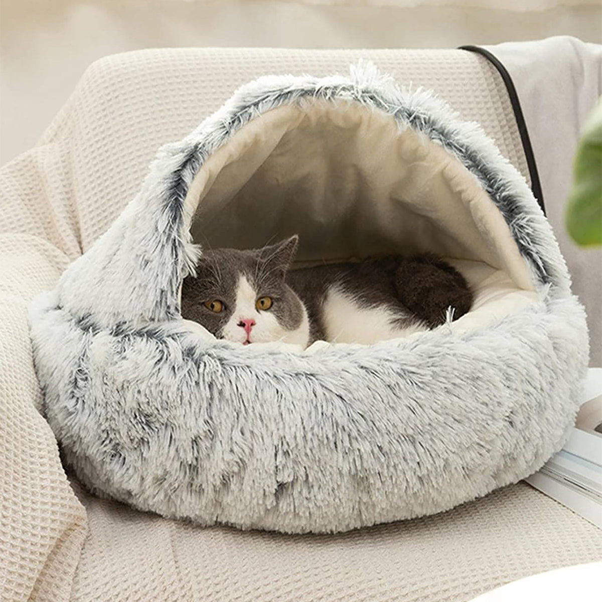 ComfyPaws Dreamy Pet Retreat