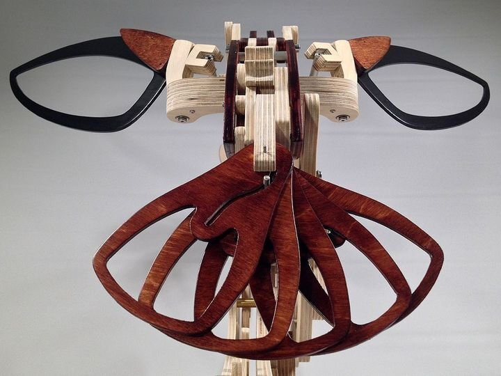 3D Wood Mechanical Hummingbird and Wood Mechanical Turtle